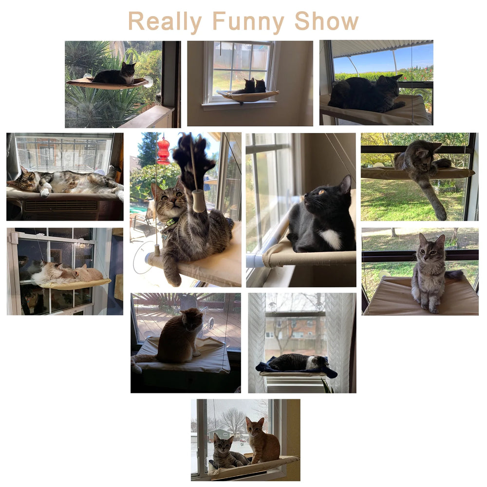Modern Window Sill Cat Lounge