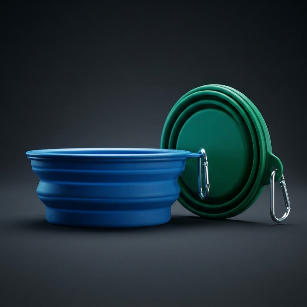 2-Pack Collapsible Dog Bowls