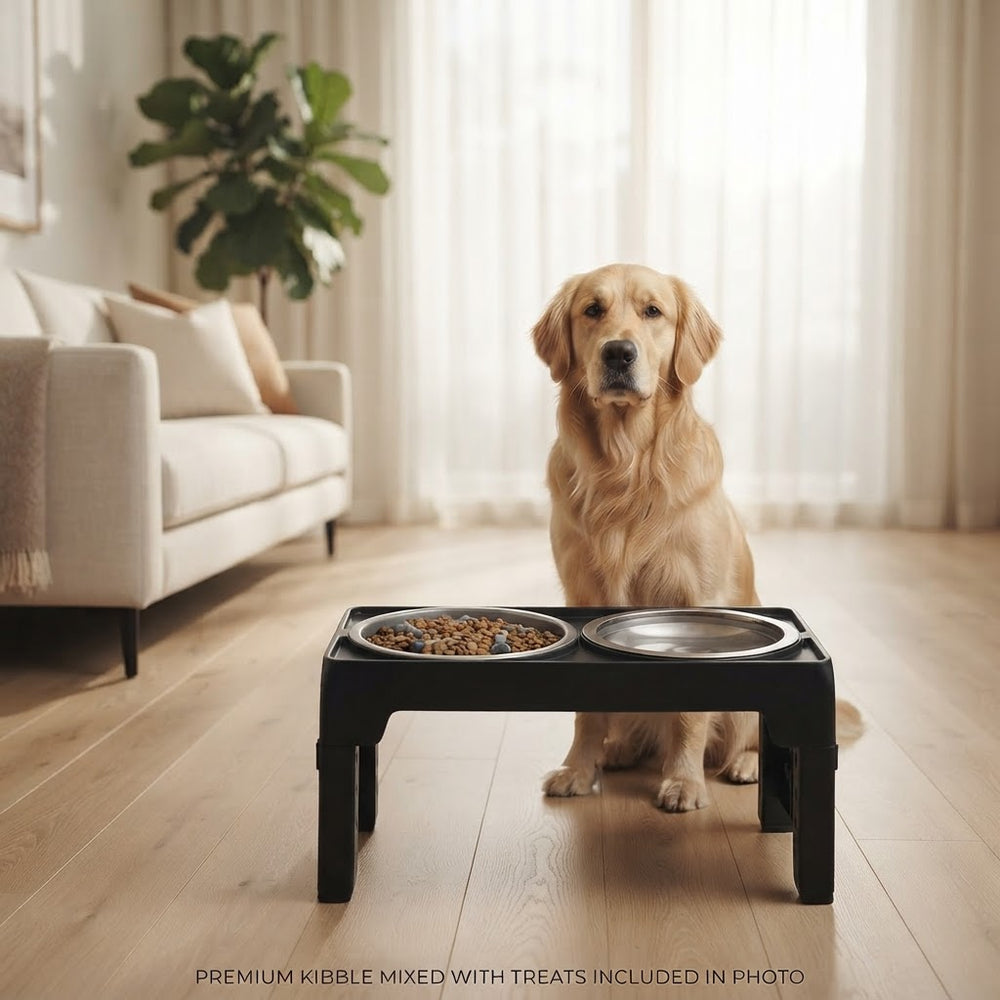 Adjustable Elevated Dog Bowl Stand