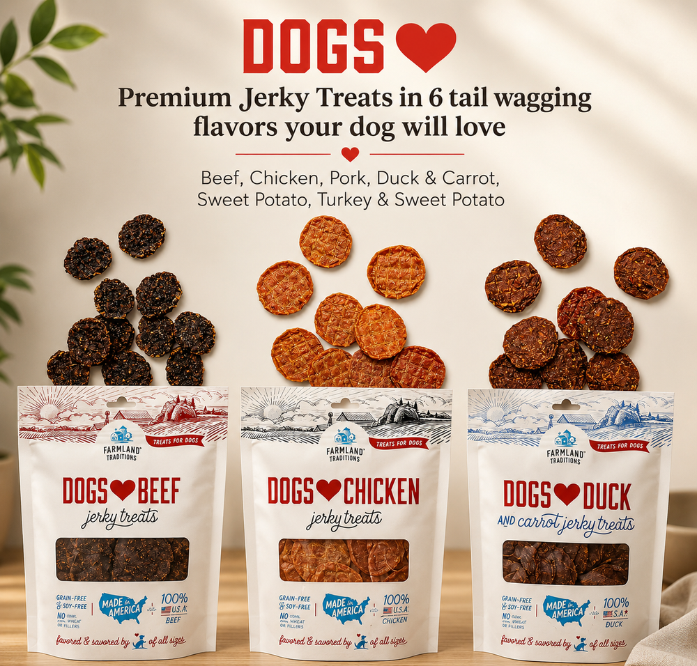 Premium Chicken Jerky Dog Treats - 3 lb. Bag