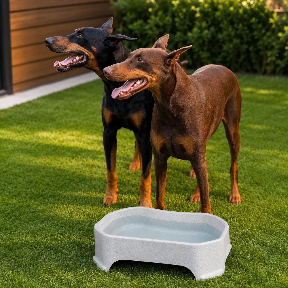 XL No-Spill Dog Water Bowl for Indoor & Outdoor Use