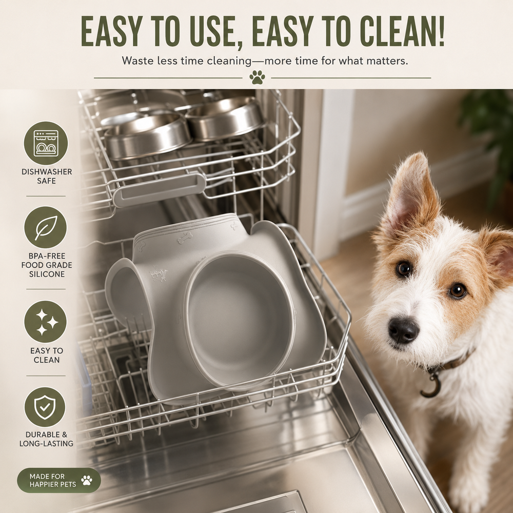 Steel Dog Bowl Set with Non-Slip Silicone Mat