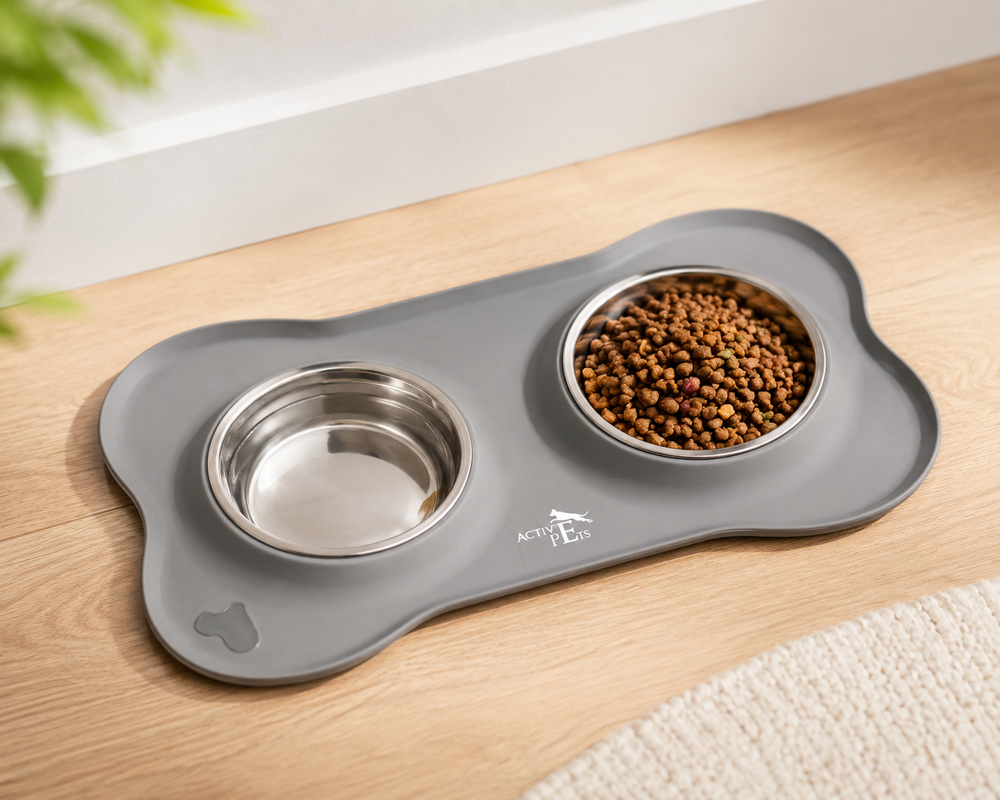 Steel Dog Bowl Set with Non-Slip Silicone Mat
