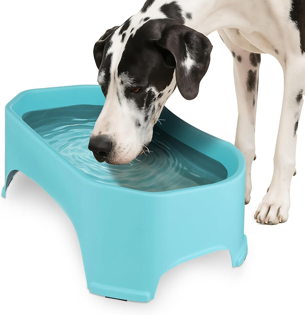 XL No-Spill Dog Water Bowl for Indoor & Outdoor Use