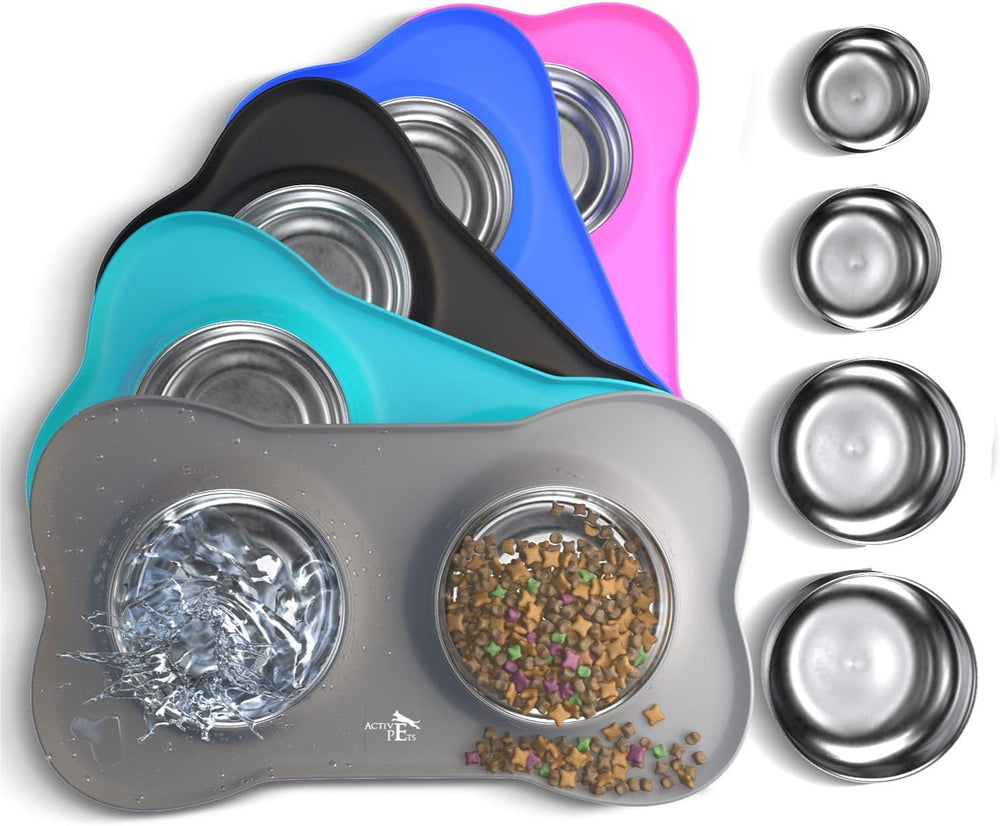 Steel Dog Bowl Set with Non-Slip Silicone Mat