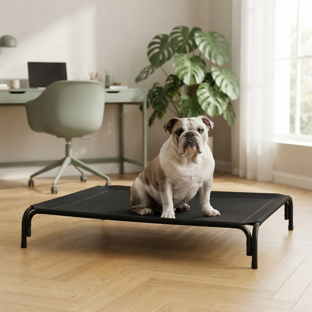Elevated cooling dog bed cot with breathable mesh and anti-slip feet