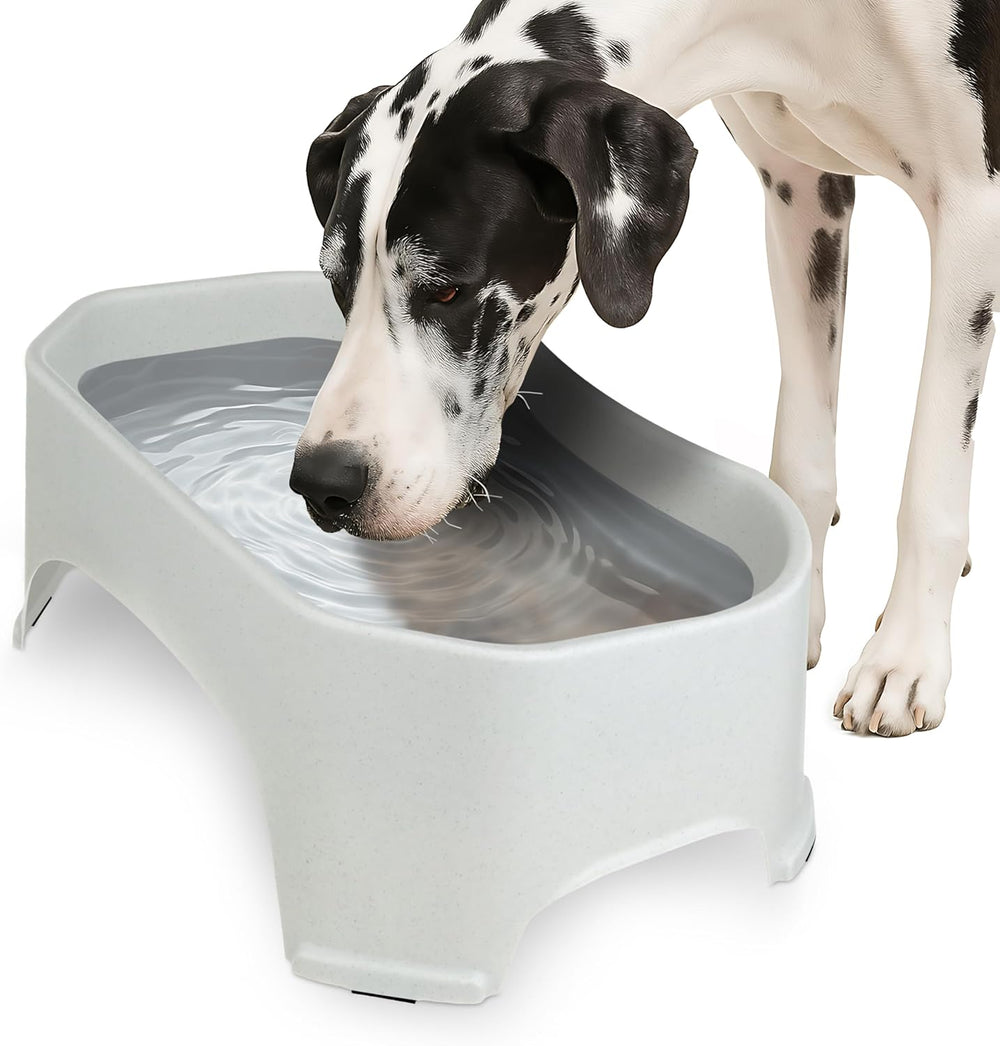 XL No-Spill Dog Water Bowl for Indoor & Outdoor Use