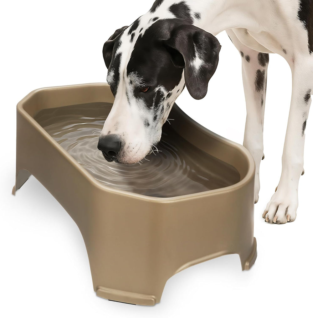 XL No-Spill Dog Water Bowl for Indoor & Outdoor Use
