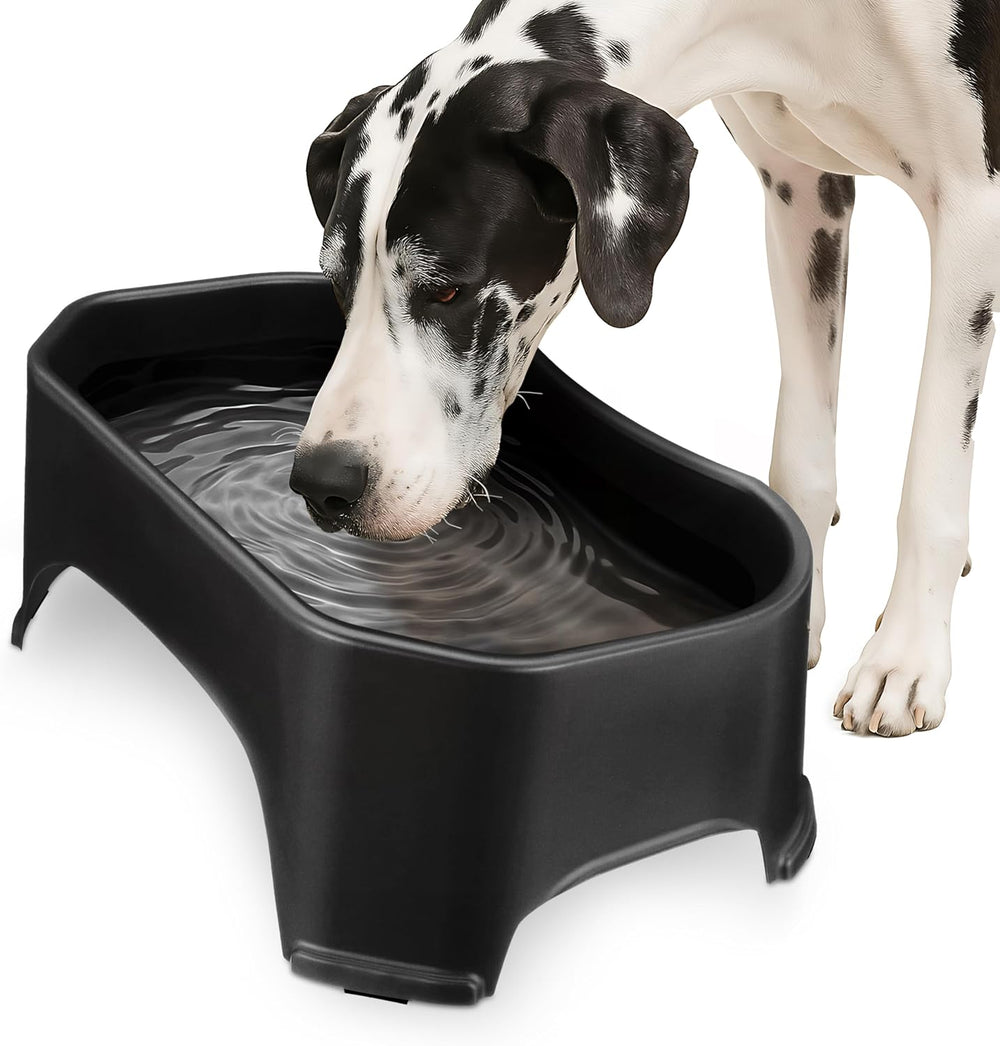 XL No-Spill Dog Water Bowl for Indoor & Outdoor Use
