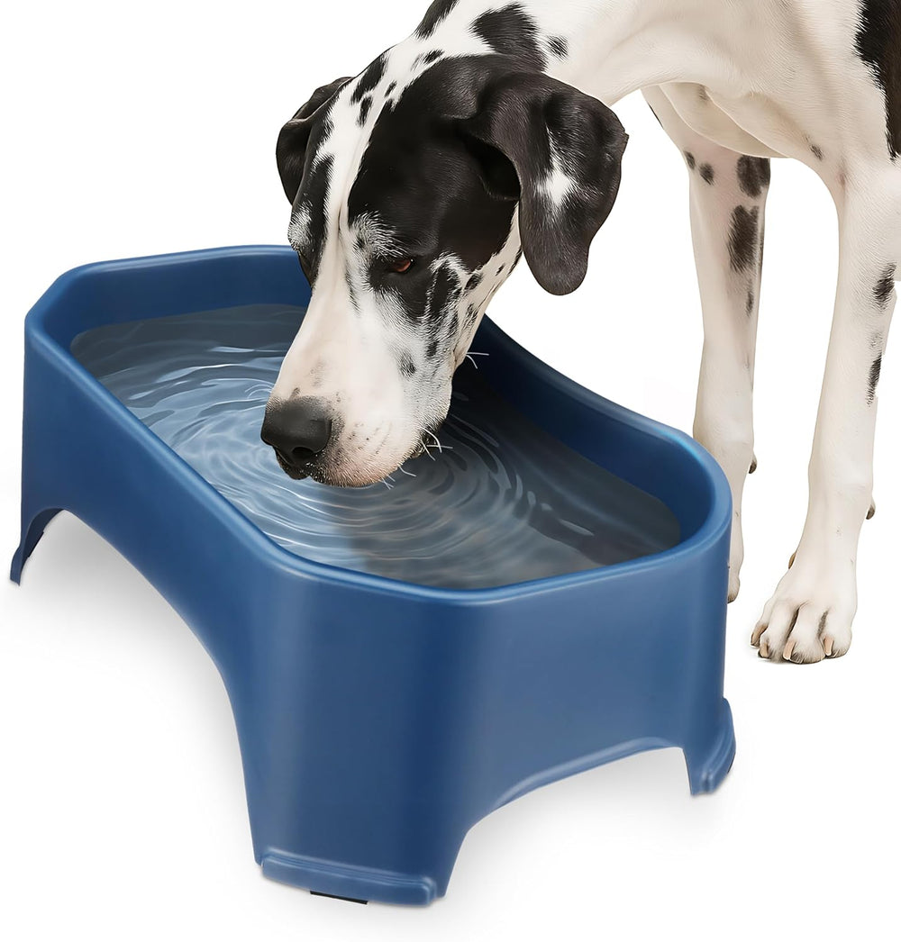 XL No-Spill Dog Water Bowl for Indoor & Outdoor Use