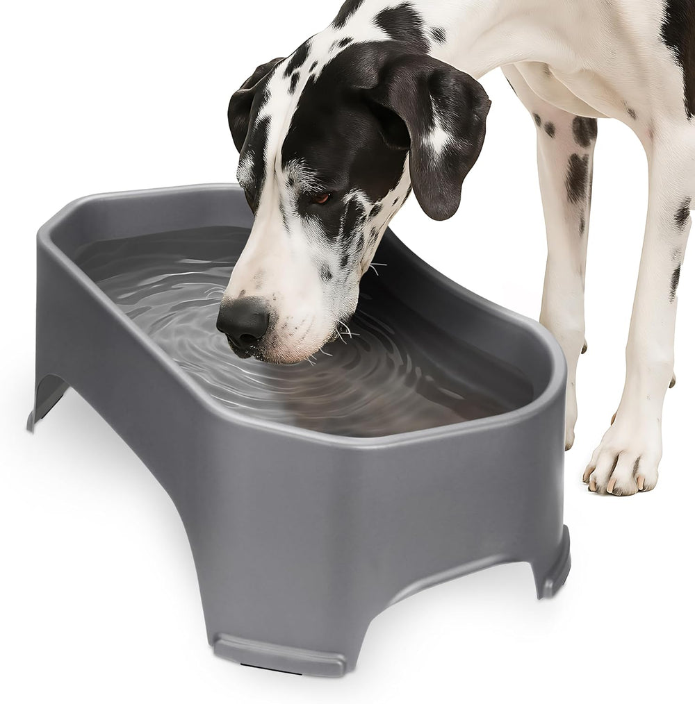 XL No-Spill Dog Water Bowl for Indoor & Outdoor Use