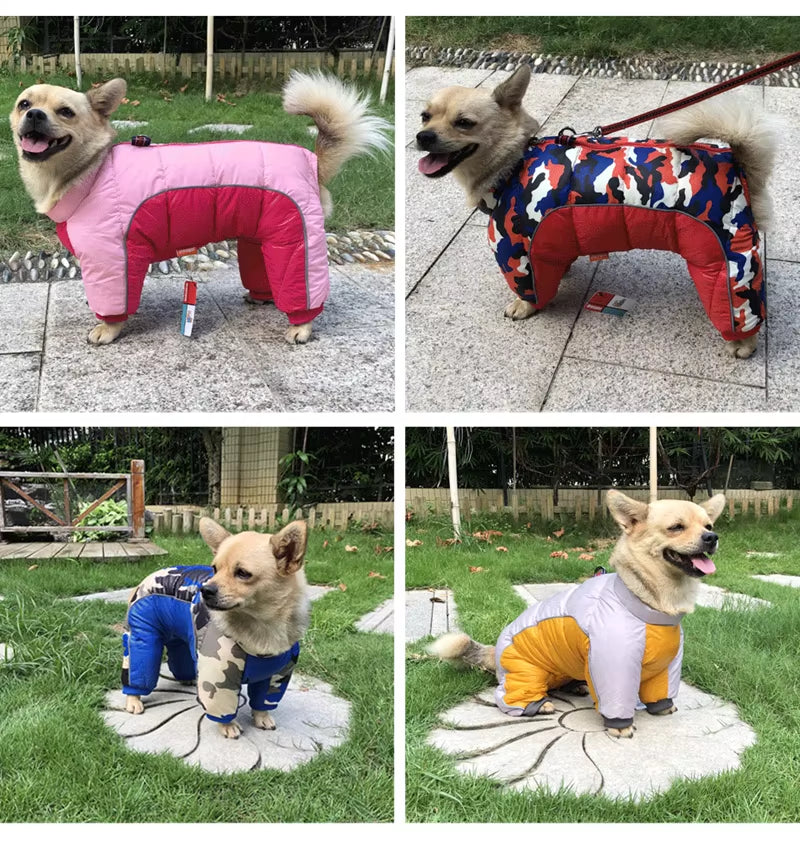 Insulated Winter Coat for Small Dogs