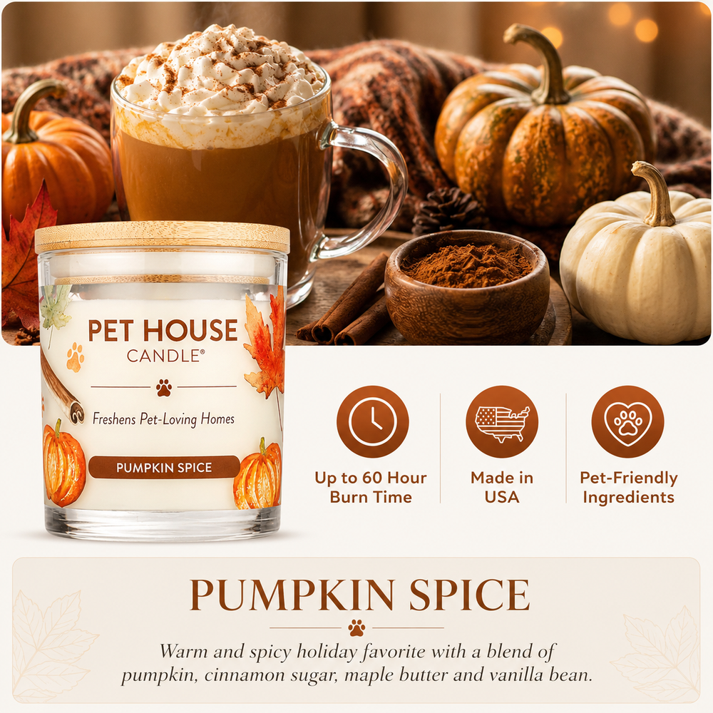 Pumpkin Spice Pet Odor Eliminating Candle | 2-Pack