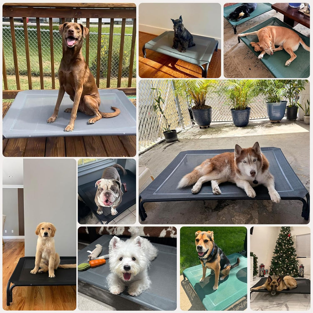 Elevated cooling dog bed cot with breathable mesh and anti-slip feet