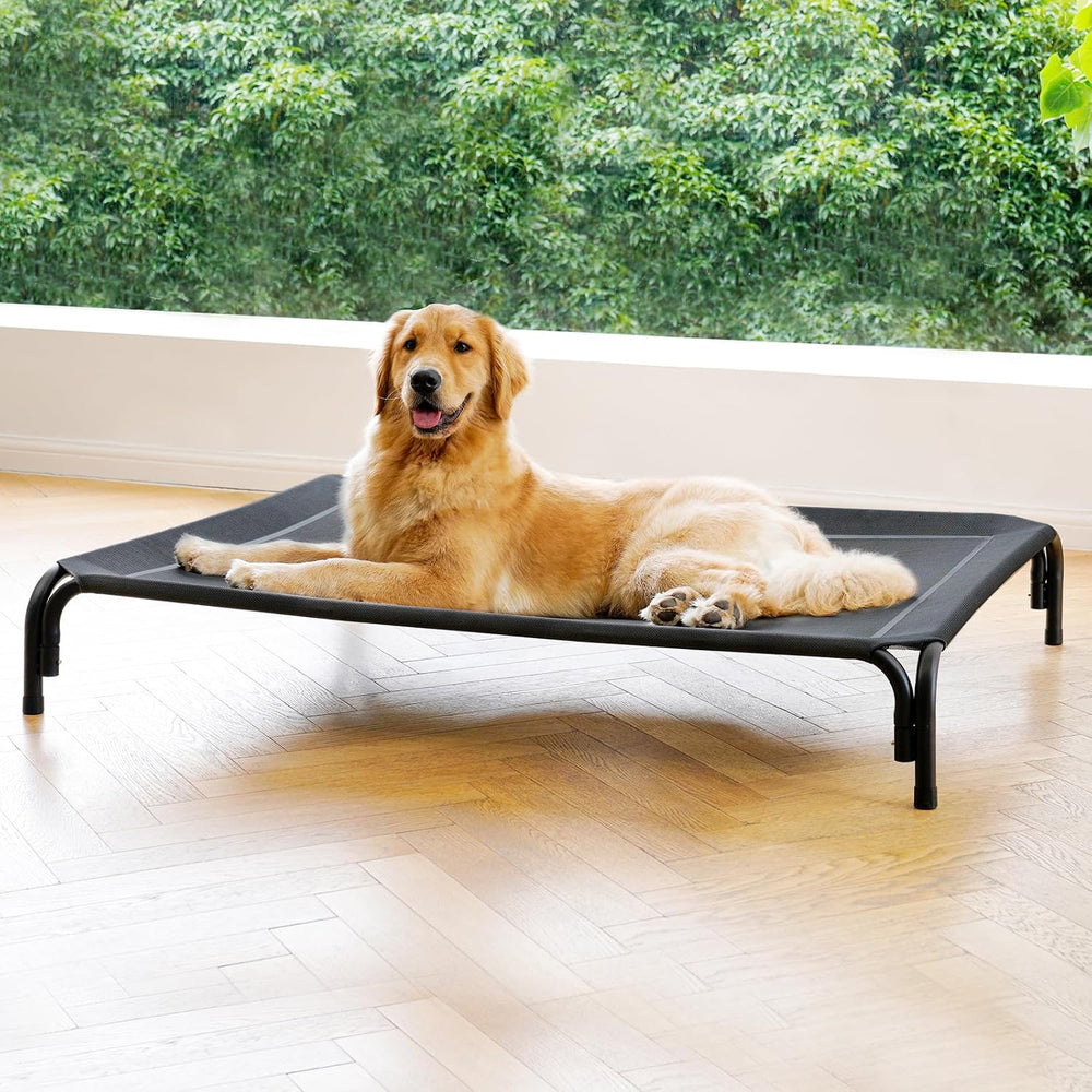 Elevated cooling dog bed cot with breathable mesh and anti-slip feet