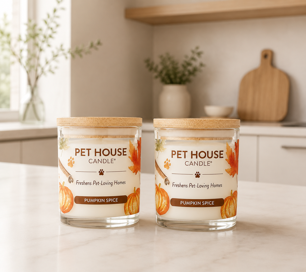 Pumpkin Spice Pet Odor Eliminating Candle | 2-Pack