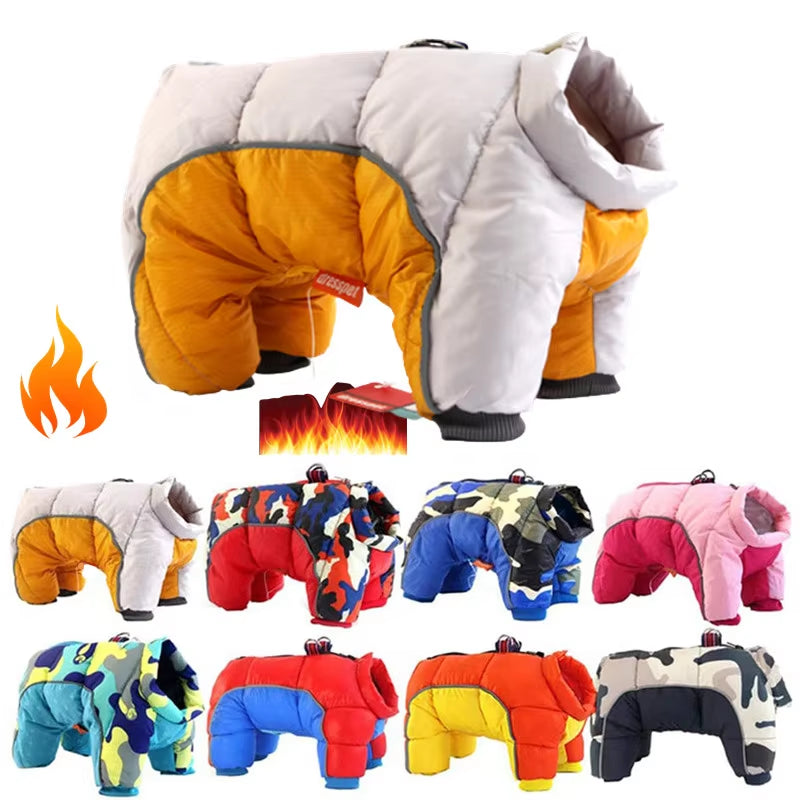 Insulated Winter Coat for Small Dogs