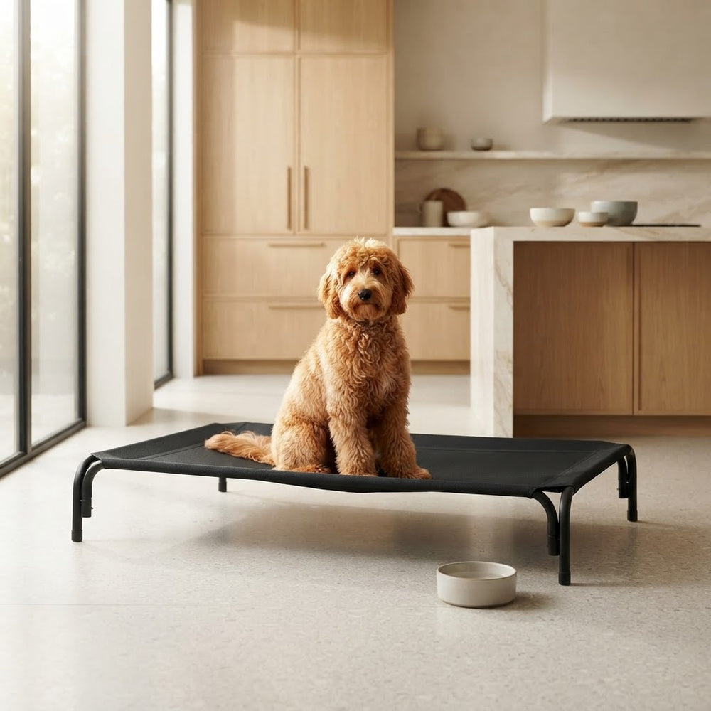 Elevated cooling dog bed cot with breathable mesh and anti-slip feet