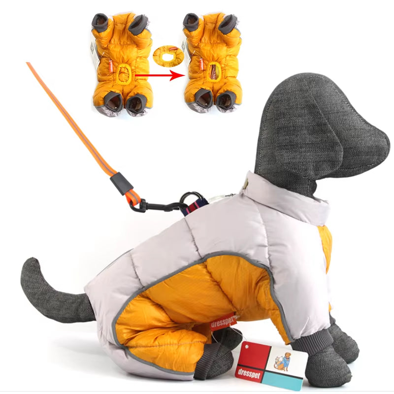 Insulated Winter Coat for Small Dogs
